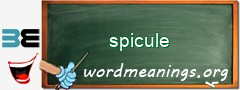 WordMeaning blackboard for spicule